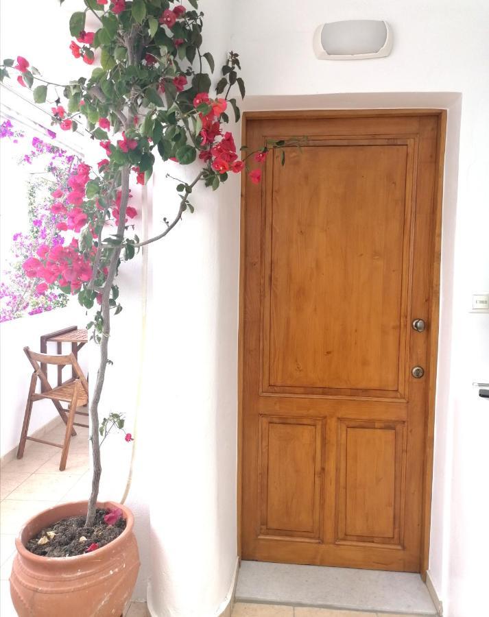 Ferienwohnung Casa Athena Naxos Naxos City Exterior foto